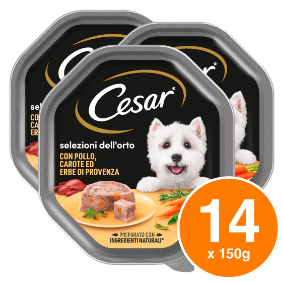 Cesar Selezioni dell'Orto Pollo Carote 14 Vaschette per Cani